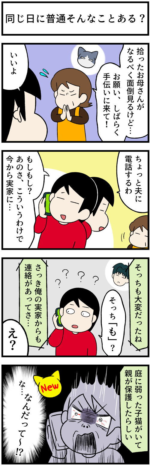 20220101子猫４2