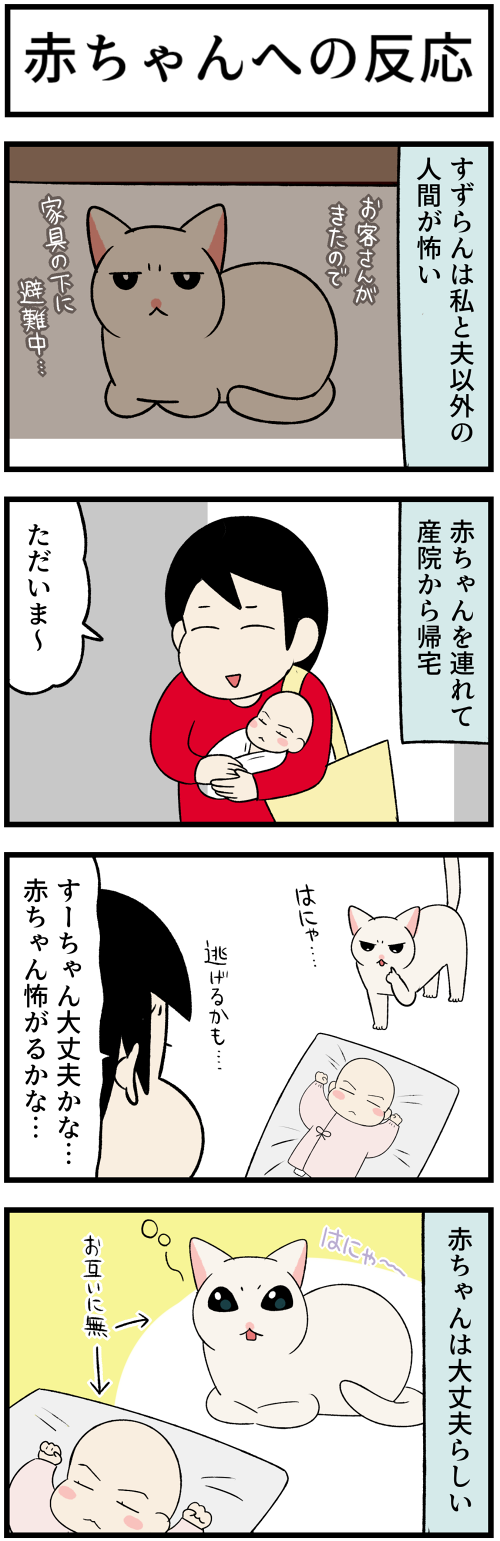 20221217赤ちゃんへの反応1