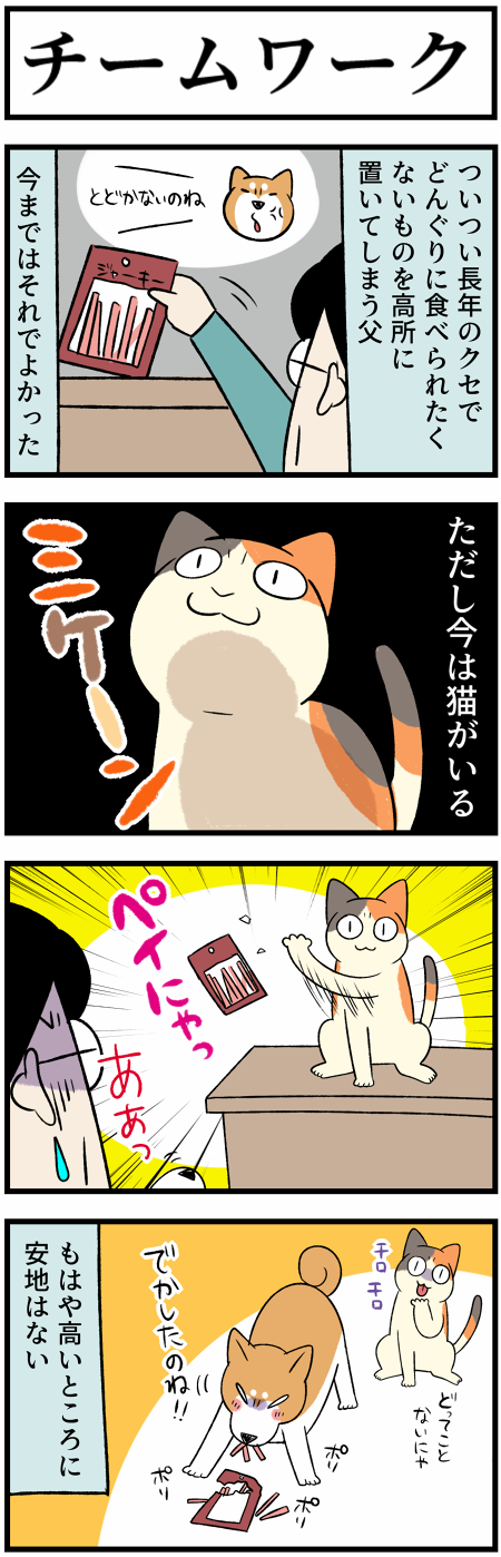 20210526チームワーク1