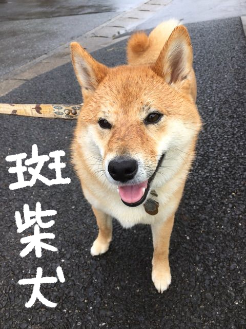 ng6ggnfb