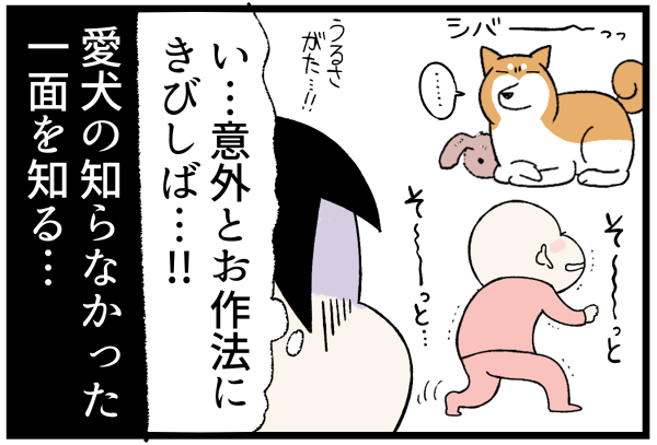 20260910作法にきびしば4
