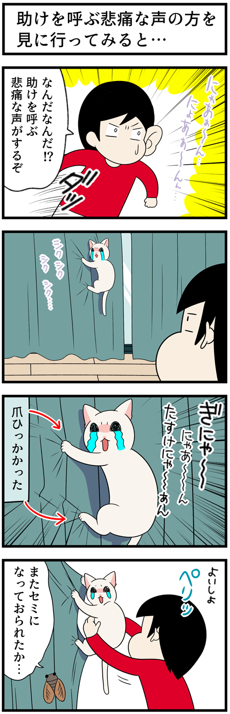 20211005カーテンと猫たち1
