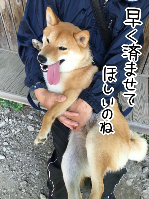 s0bi4nn1