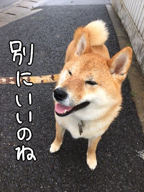 xtdx7onl