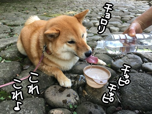 l9soitan