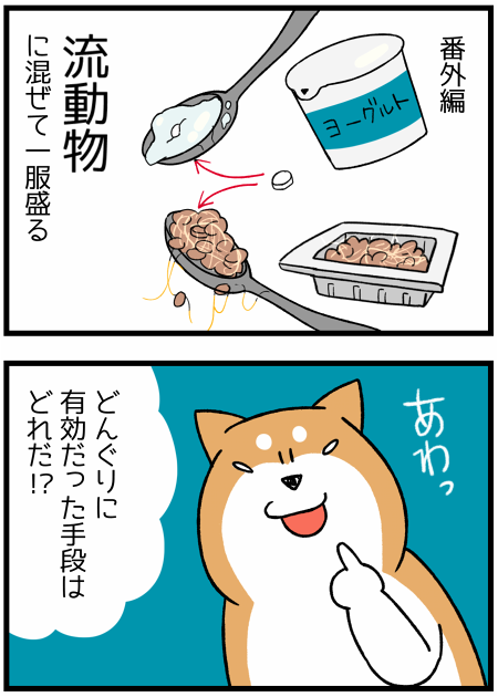 試してきた 鋭い犬に薬を飲ませる方法 と問題 柴犬どんぐり三毛猫たんぽぽ Powered By ライブドアブログ 試してきた 鋭い犬に薬を飲ませる方法 と問題 柴犬どんぐり三毛猫たんぽぽ Powered By ライブドアブログ