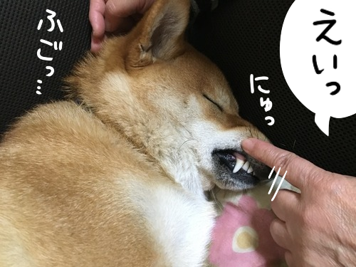 02fudk7m
