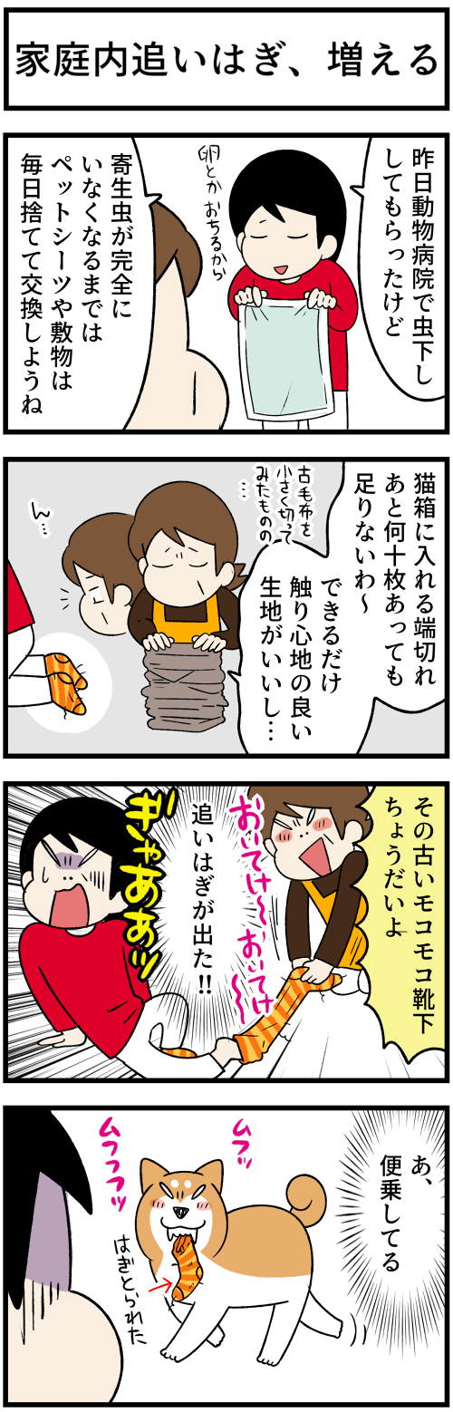 20220123子猫のルール1