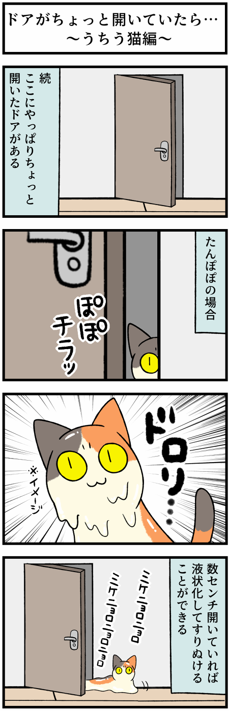 20210730犬猫とドア2
