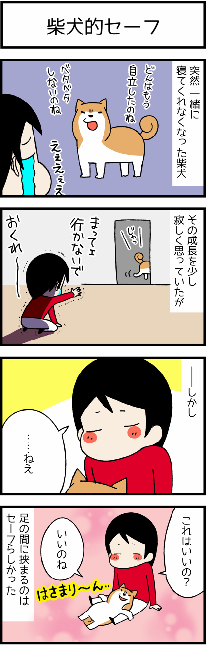 20161110柴犬基準1