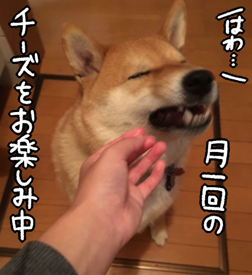 oyf4kfoj