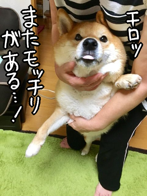 sto5y0c0