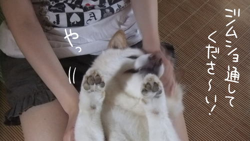 0b5oygre