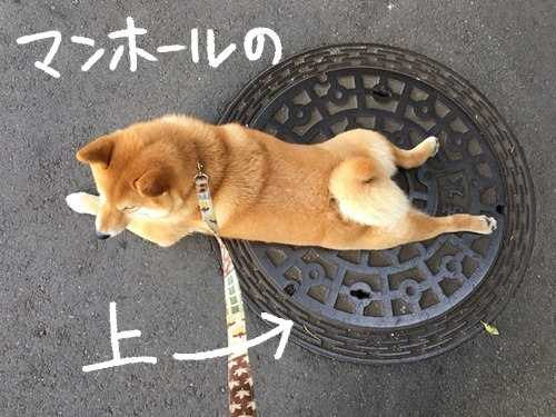 yqffw3eg