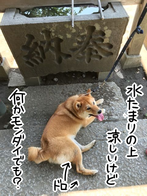 x4jznhdt