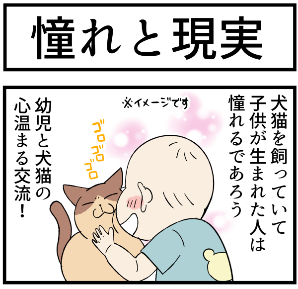20260616憧れと現実1