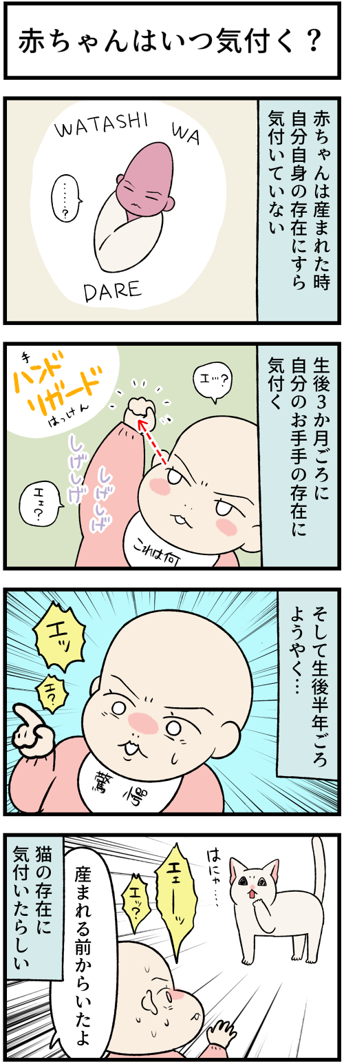 20230425赤ちゃんはいつ気付く？1