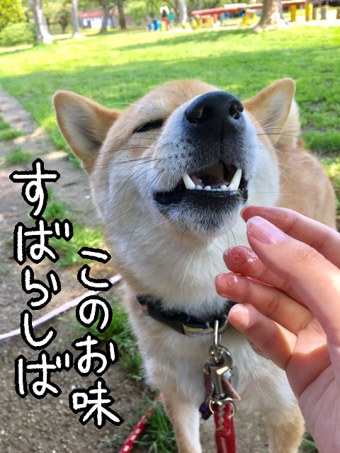 hkjvbe3o