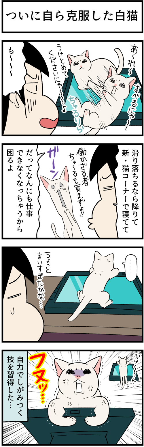 20220716白猫を支える2