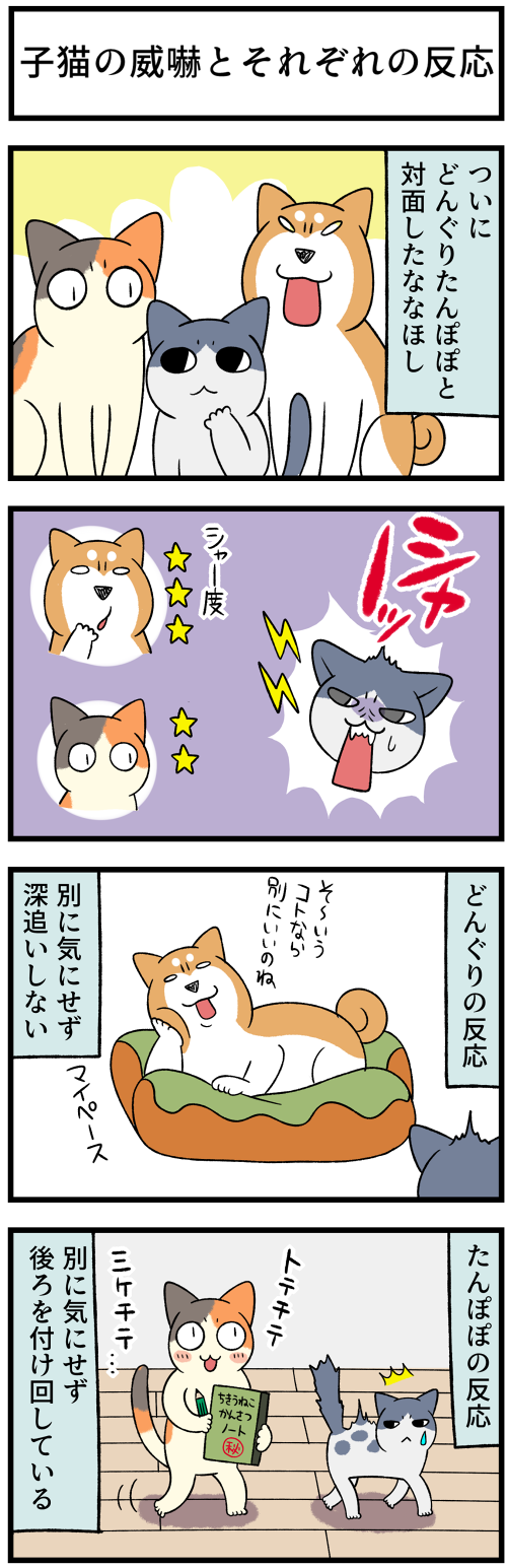 20220404シャーされても1
