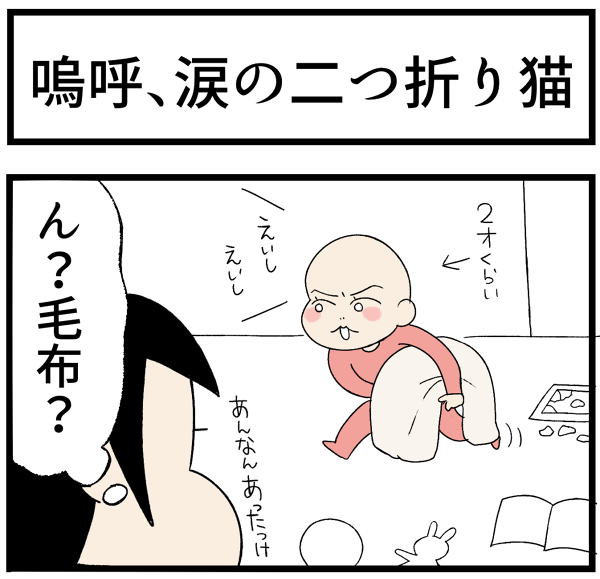 20260929二つ折り猫1