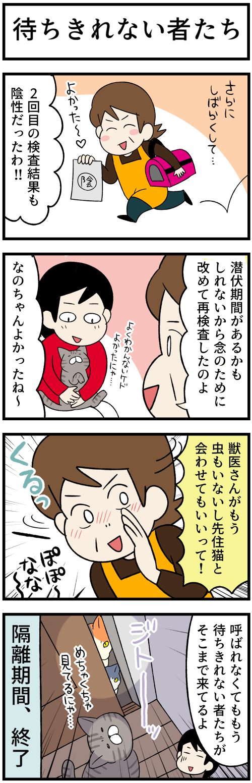 20220731感染症検査2