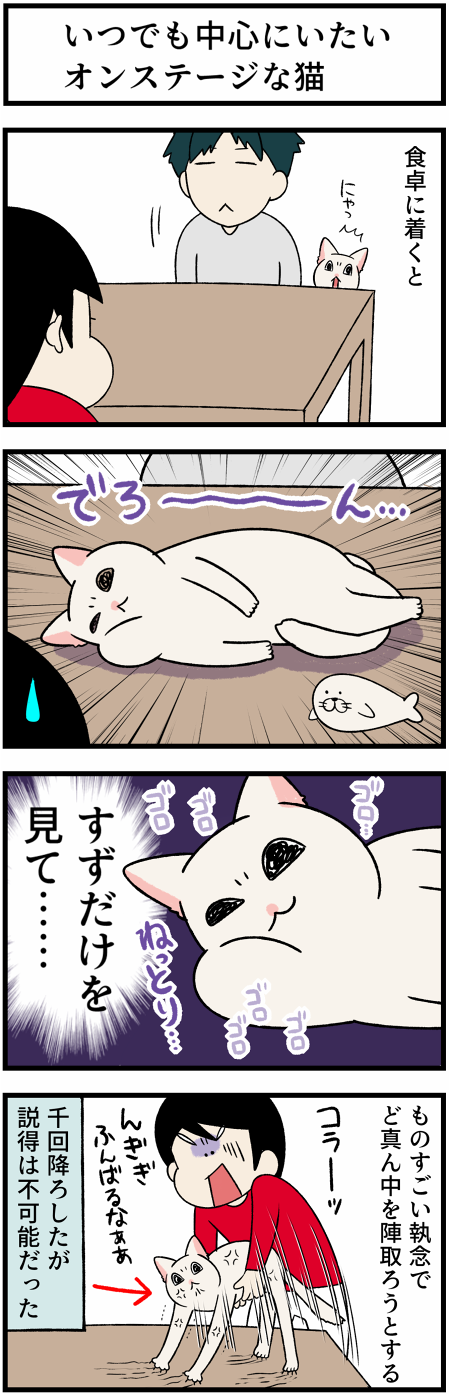 20211030テーブル猫1
