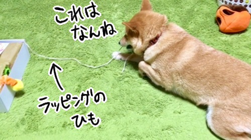 r71w6uc5