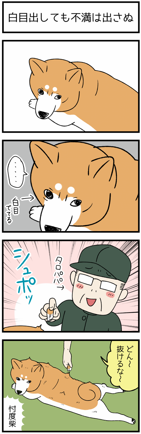 20210218白目出しても1