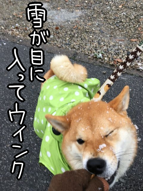 wskqg2ng