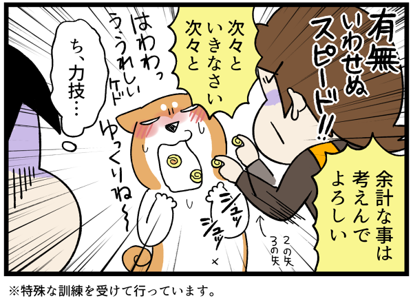 20260703犬と子供の投薬4