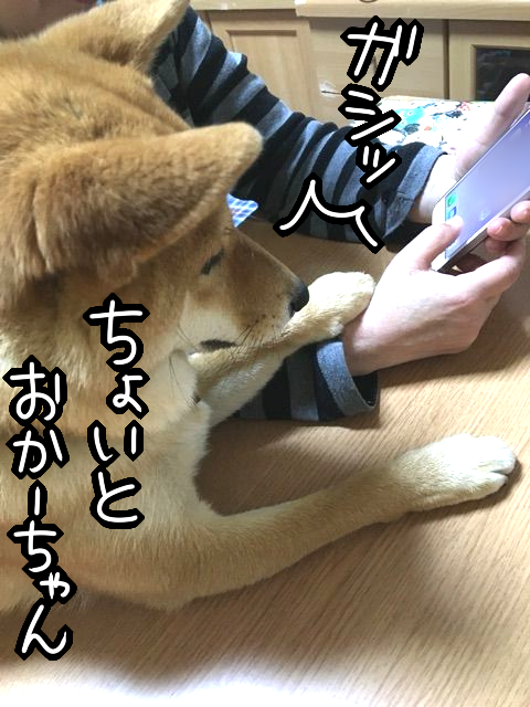 mgqqz2se