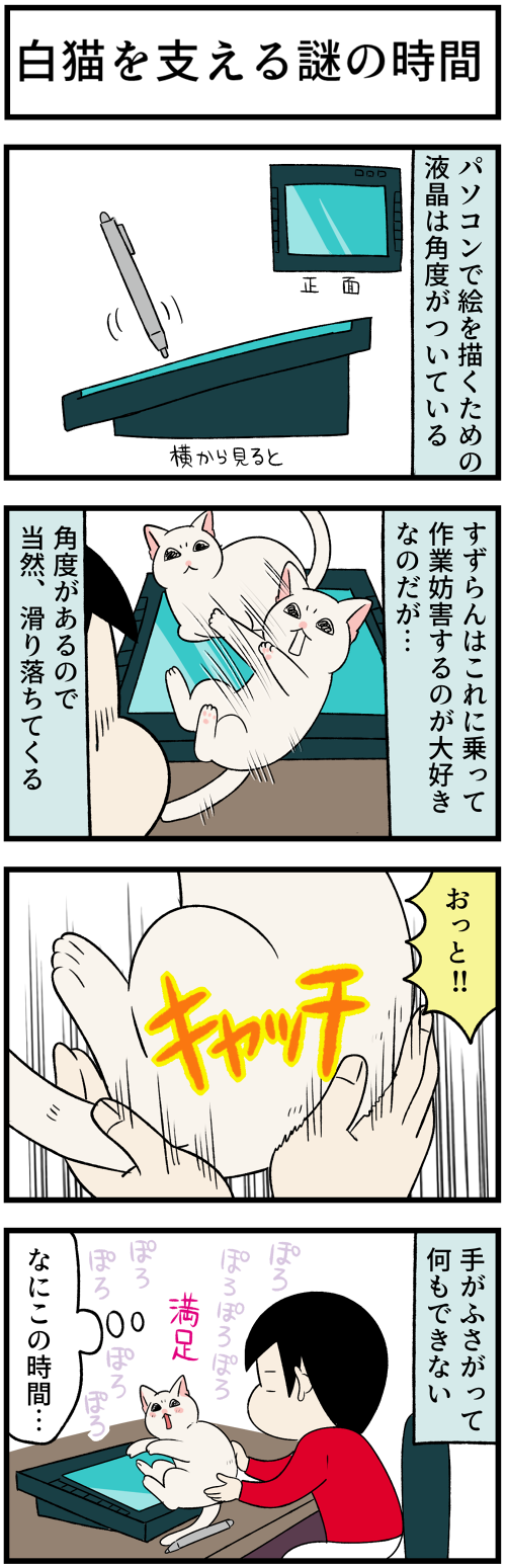 20220716白猫を支える1