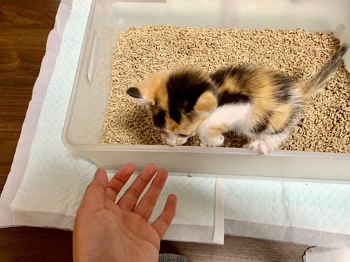 FullSizeRender