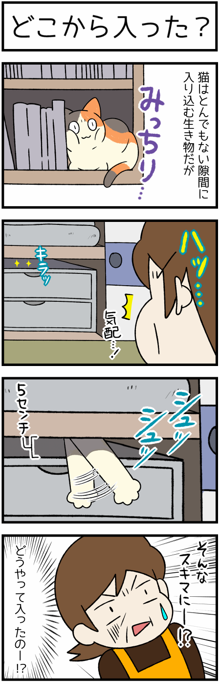 20201105じゅうたんの下、おしいれ2