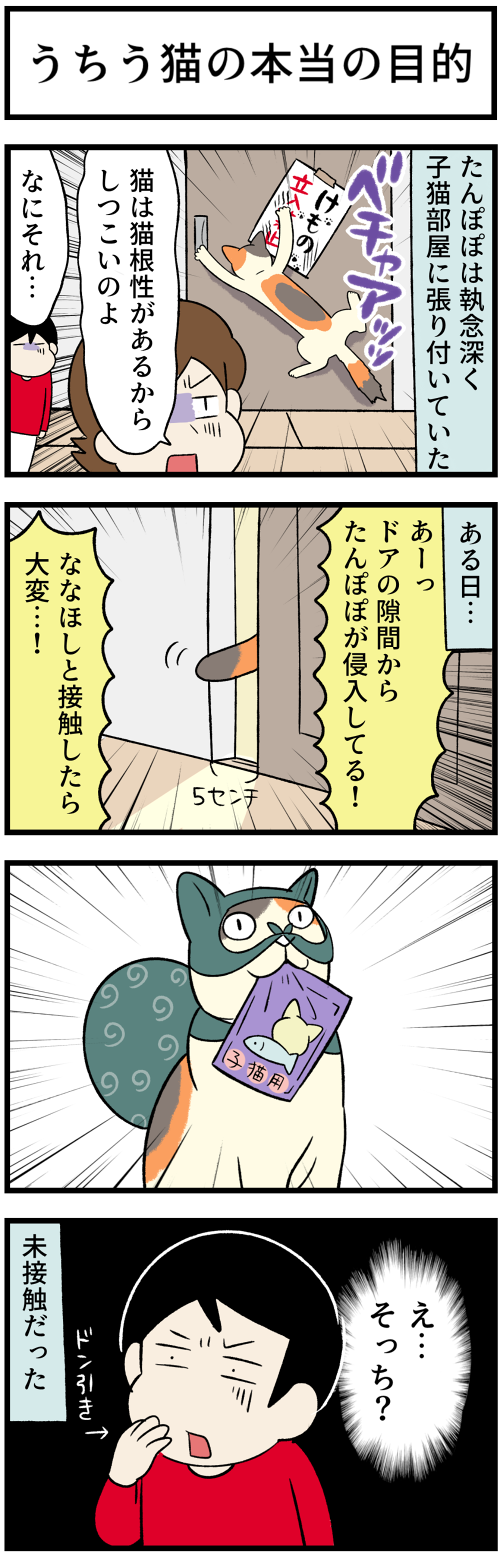 20220212猫らしく1