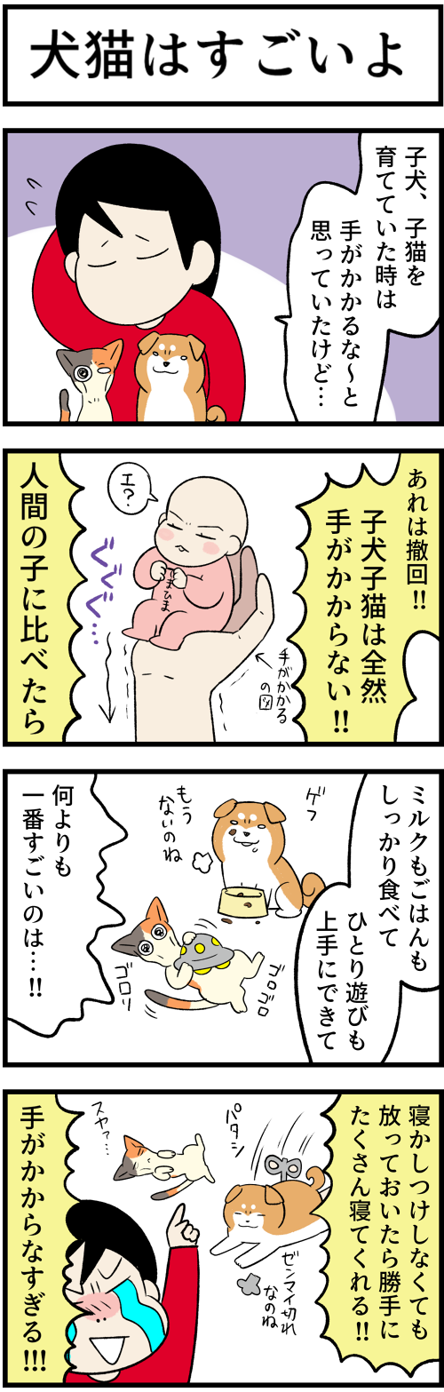 20230410犬猫はすごいよ、いつか楽に1