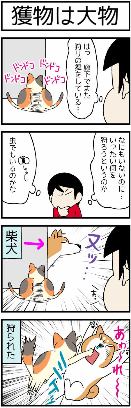20201218狩りとる猫2