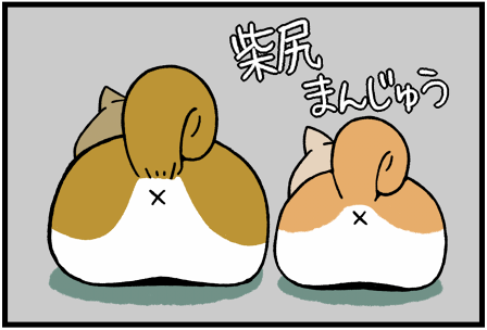 柴犬まる3
