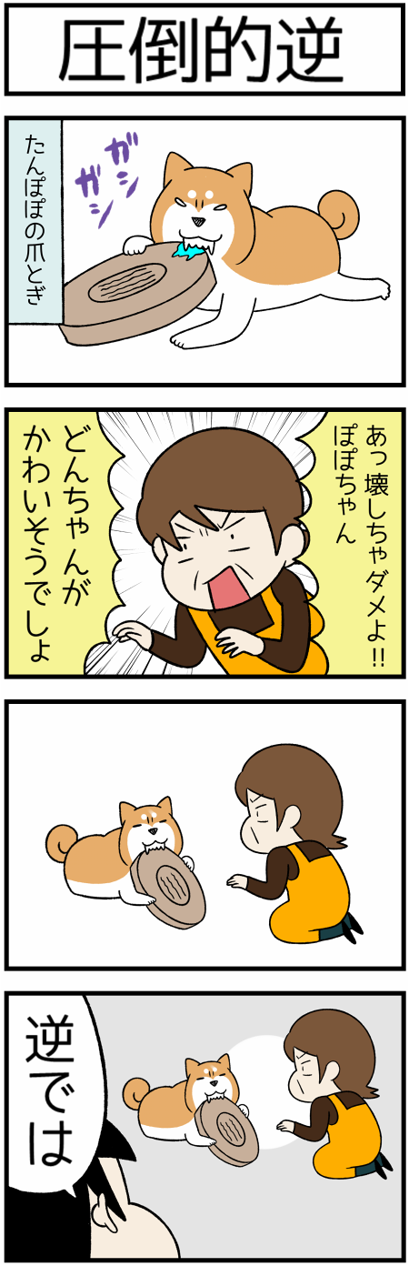 20201112一生懸命2