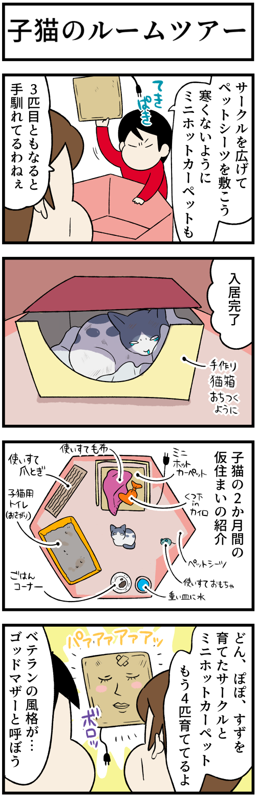 20220101子猫５2