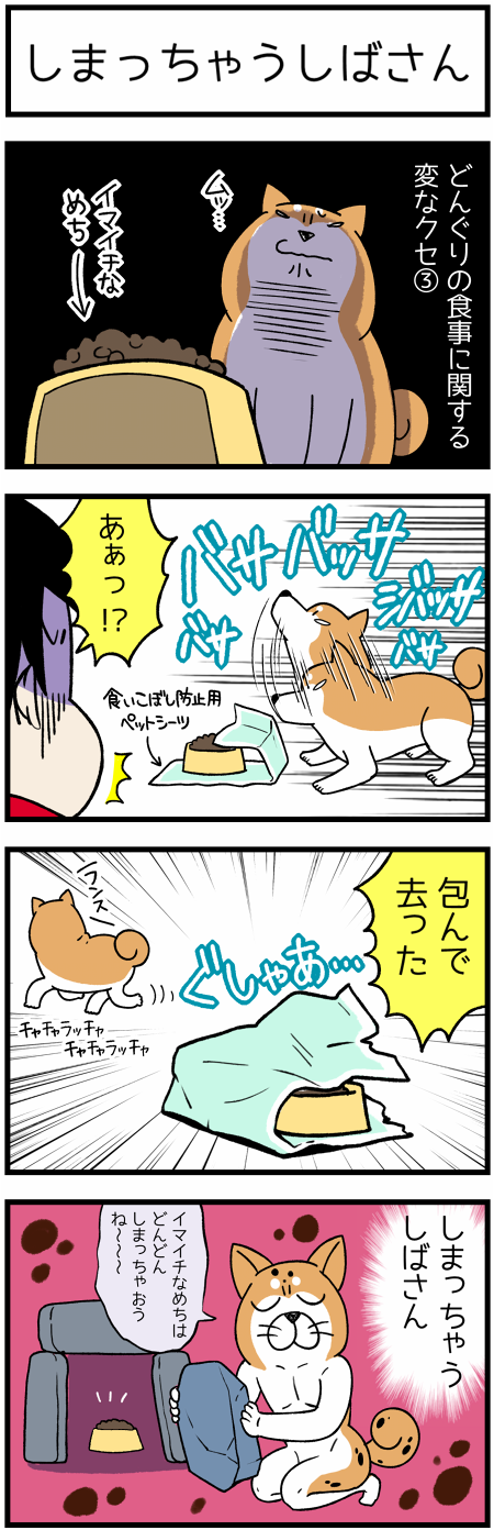 20170624しまっちゃうしばさん1
