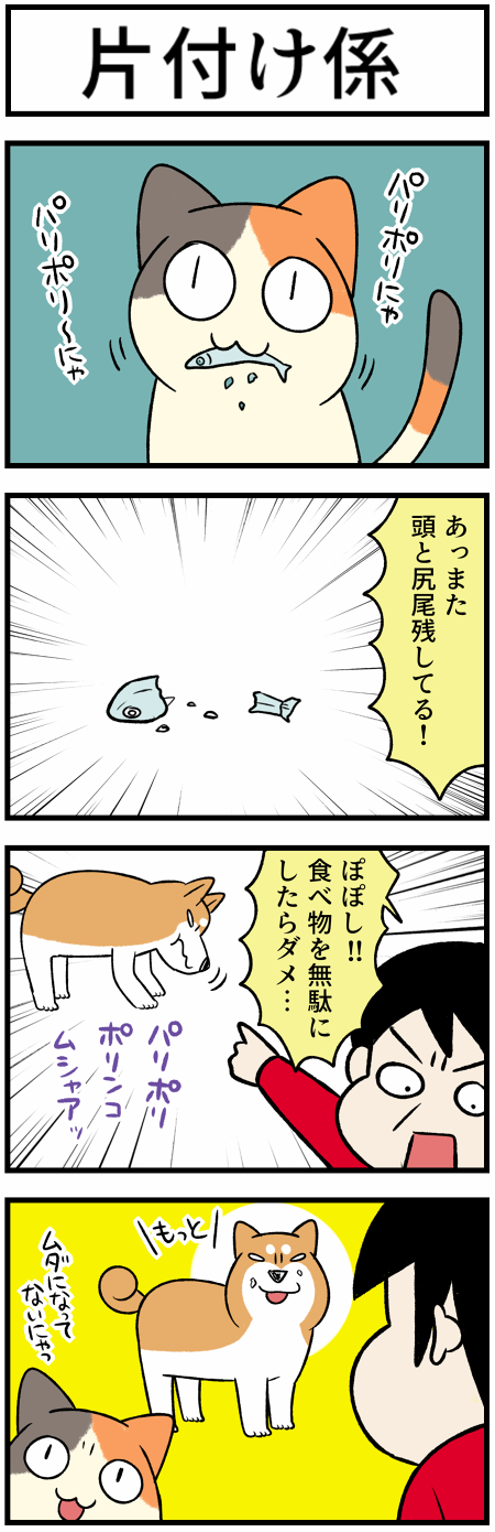 20210404片付け1