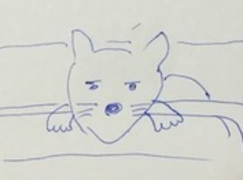 新規キャンバス