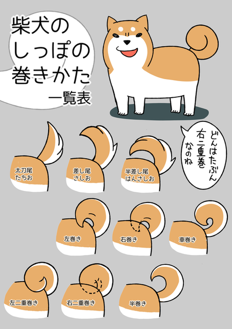 791kku1r