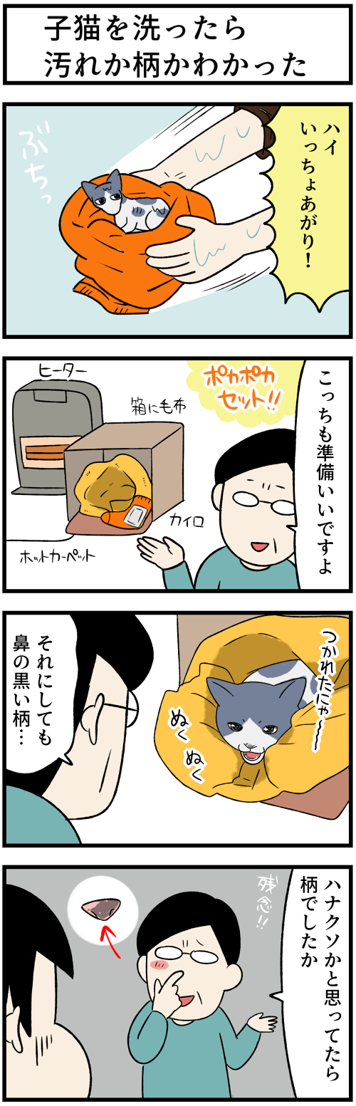 20220208洗ったら柄が1