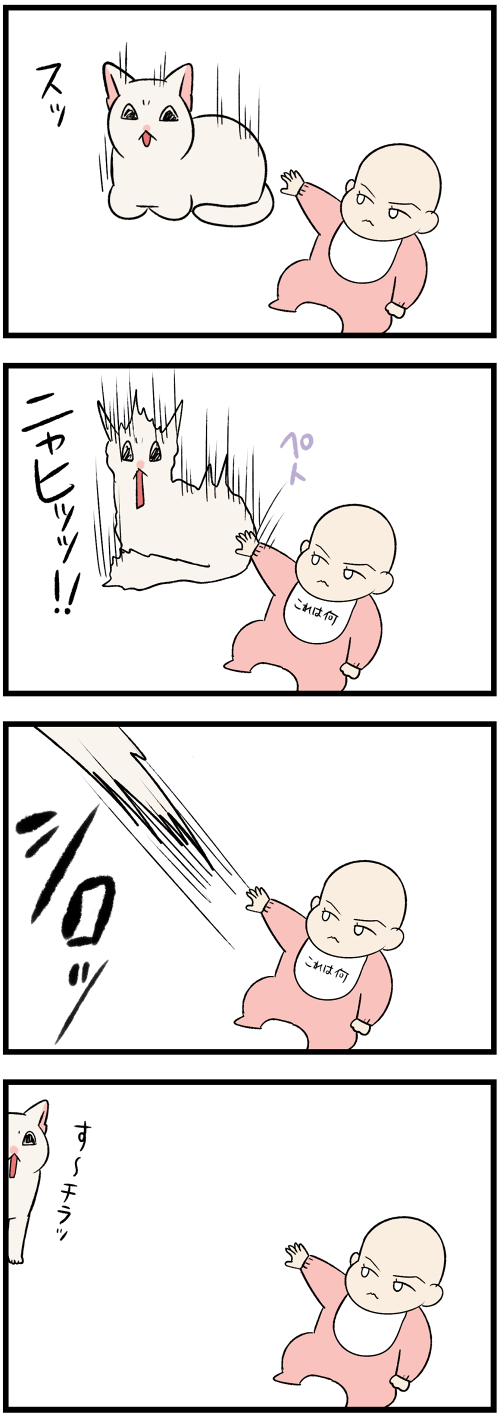 20230426猫と赤子の儀式2