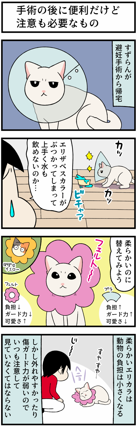 20210827エリカラ1