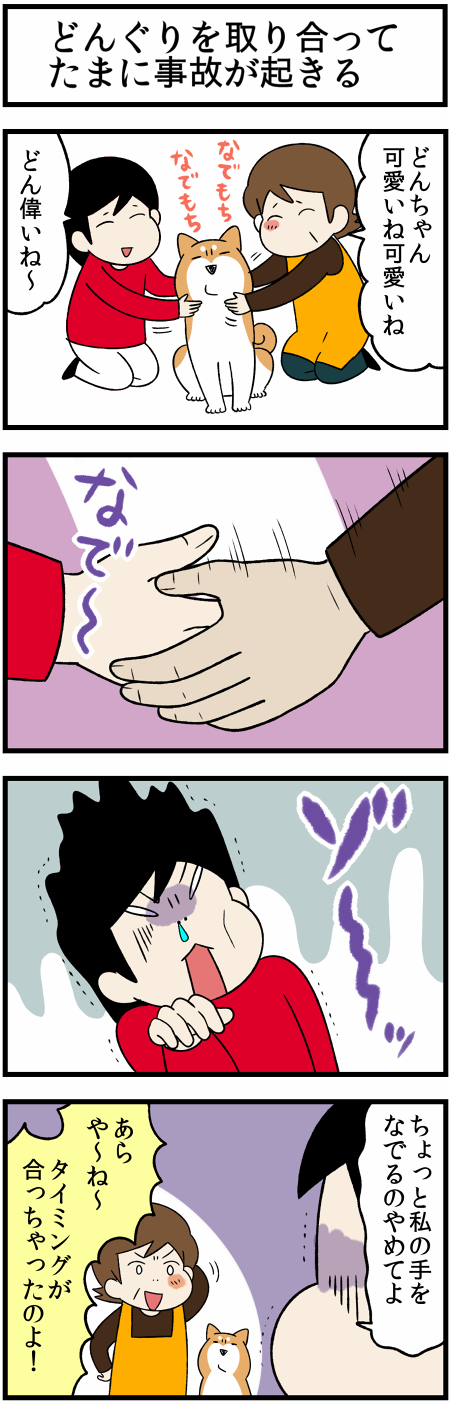 20211130どんぐり事故2