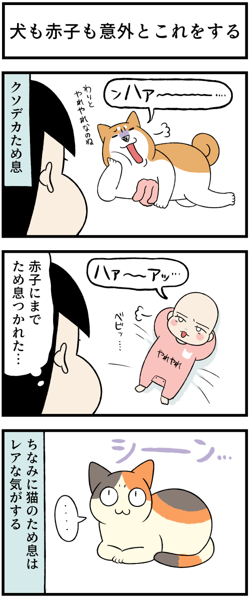 20230210犬も赤子も意外と1
